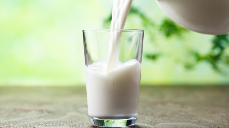 a pitcher of milk pouring into a half-filled glass on a sunlit background with greenery