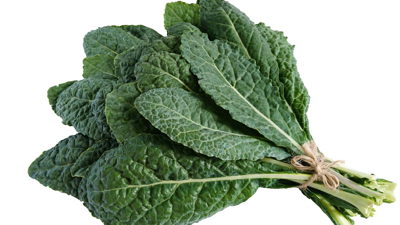 bunch of lacinato kale