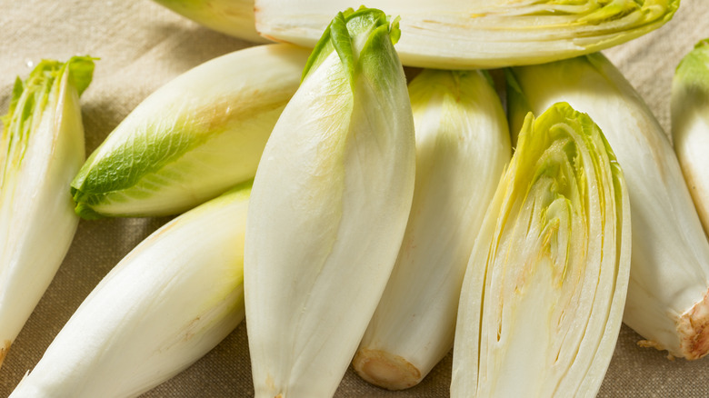 Pile of raw Belgian endive