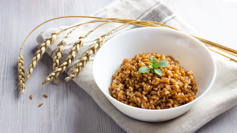 Cooked farro grains in white bowl