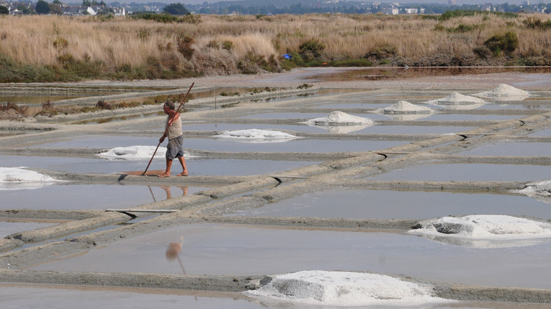 What Is Fleur De Sel And Why Is It Special?