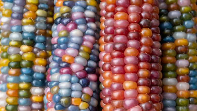 Glass gem corn