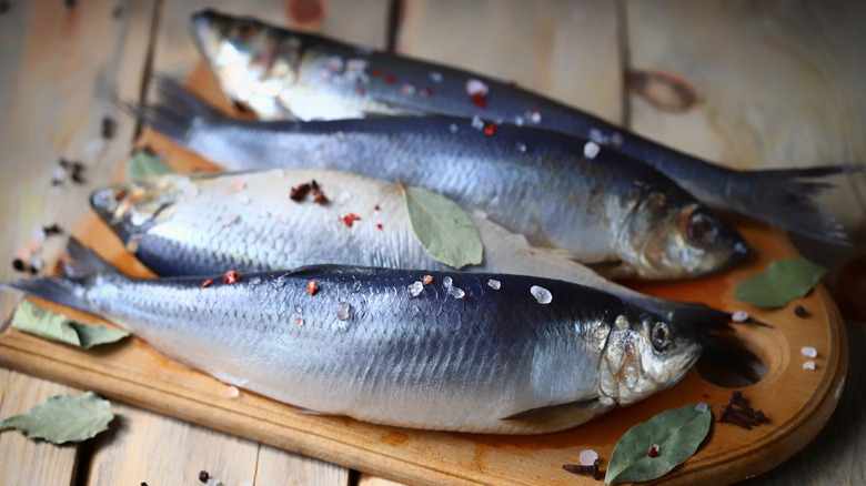 Raw herring on board