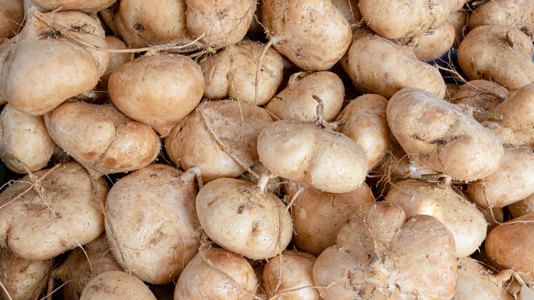 pile of jicama