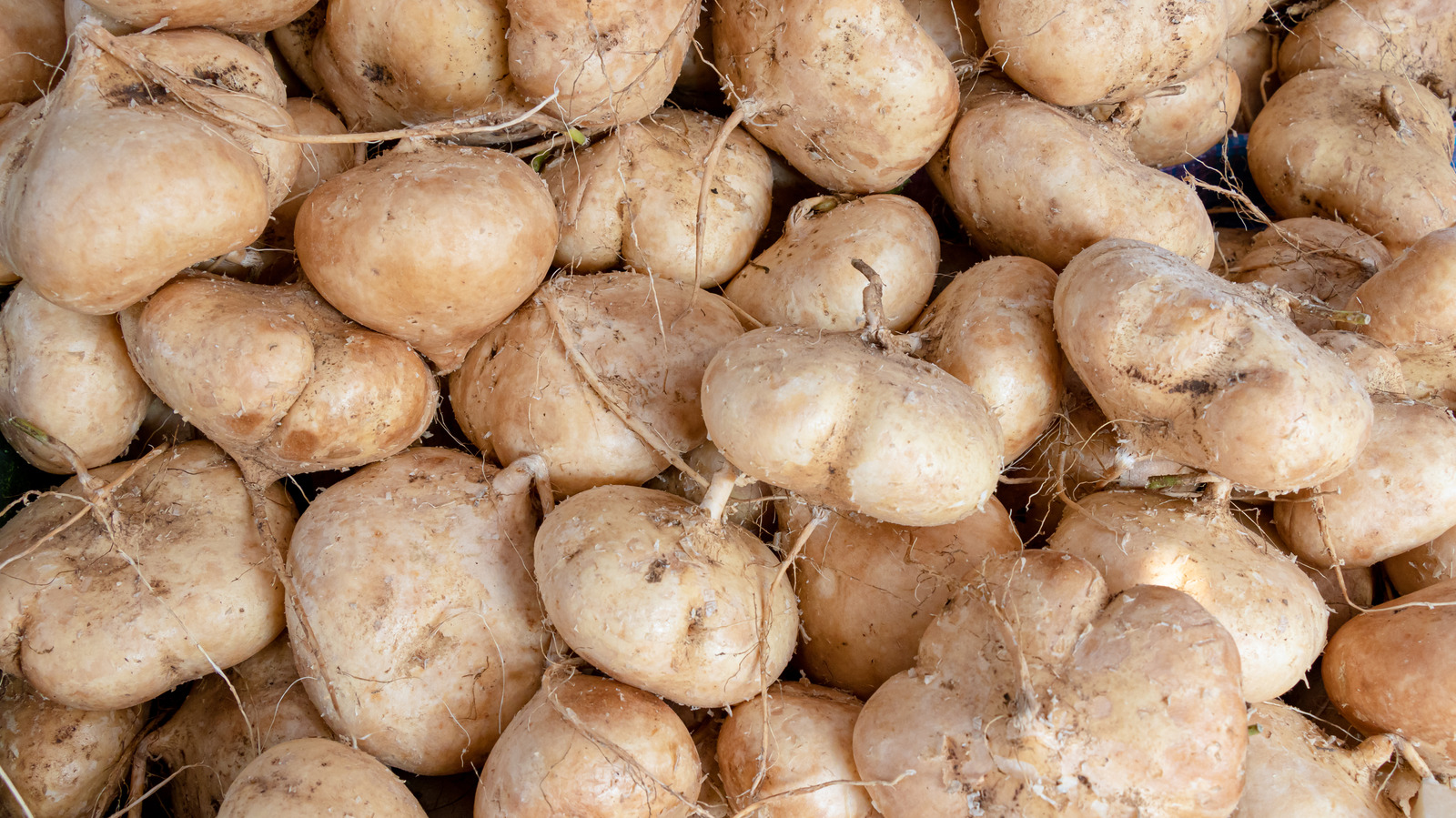 What Is Jicama And How Do You Eat It?