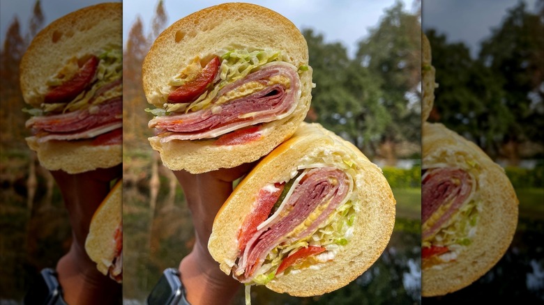 Hand holding Jimmy John's Italian Night Club sandwich outside.