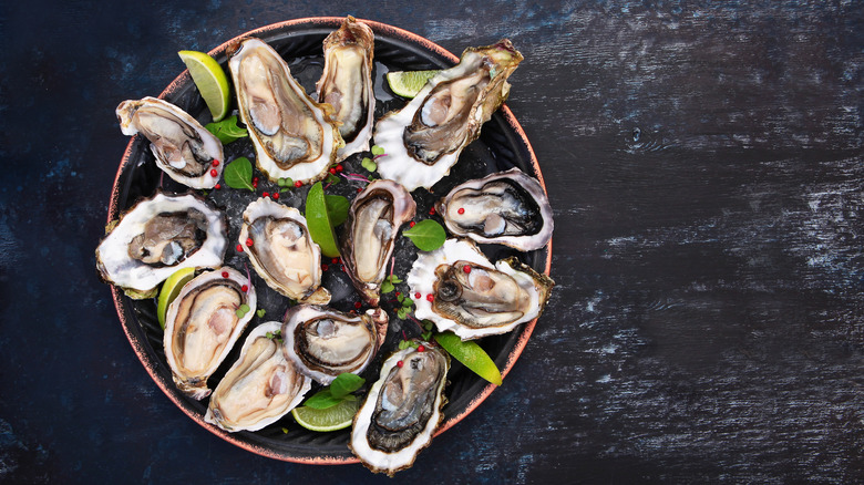 Plate of oysters on the half shell with limes