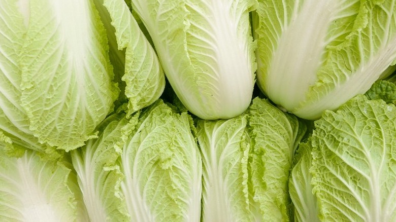 what-is-napa-cabbage-and-how-do-you-eat-it