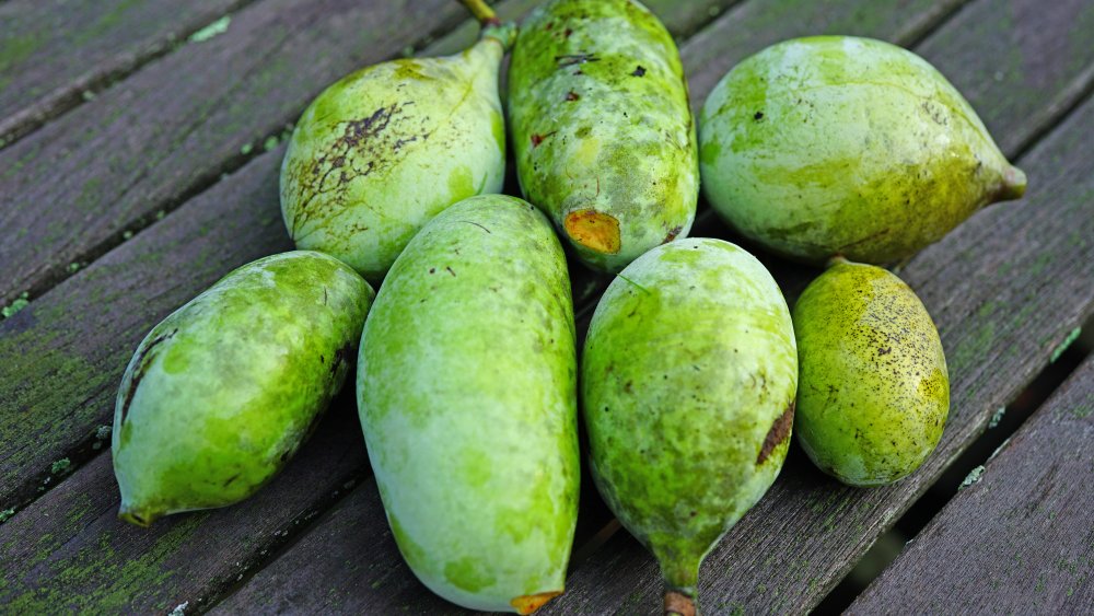 pawpaw fruit