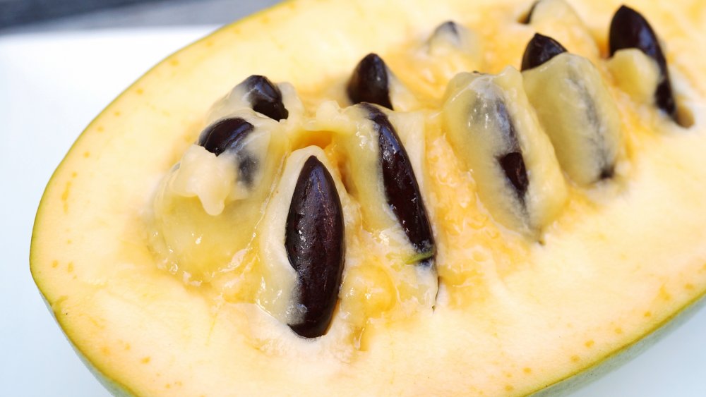 Ordinere falskhed Sund og rask What Is Pawpaw Fruit And What Does It Taste Like?