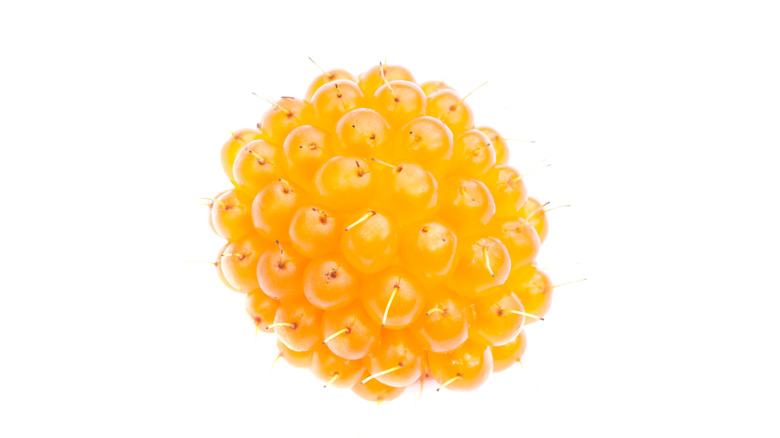 Orange-colored salmonberry