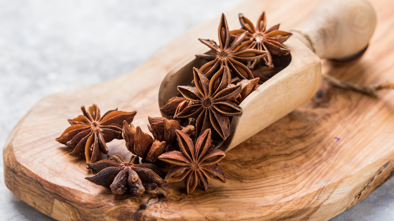What Is Star Anise And What Does It Taste Like?