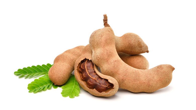 Tamarind in pod on white background