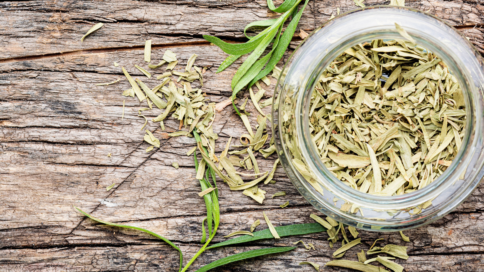 Tarragon Herb Uses