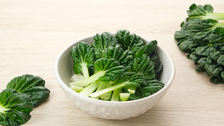 A bowl of raw tatsoi greens