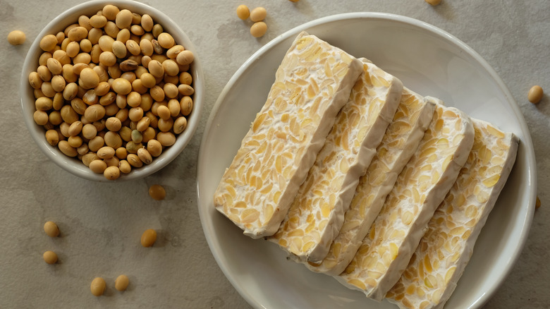 Top view of soybeans and tempeh blocks