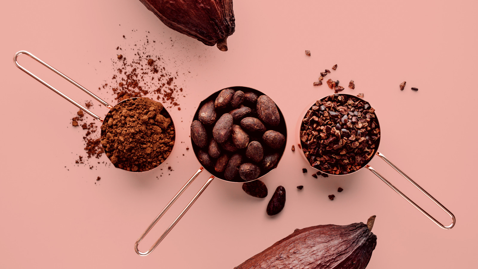 What Is The Difference Between DutchProcess And Regular Cocoa Powder?