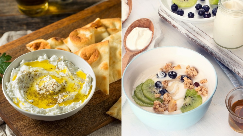 A bowl of labneh and a bowl of Greek yogurt