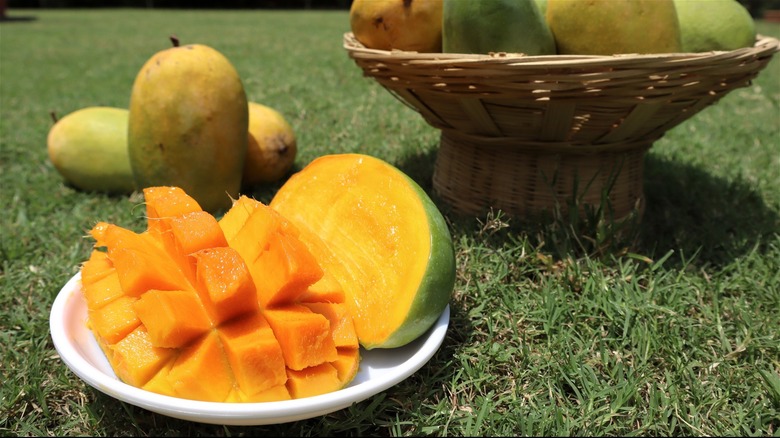 A sliced and cubed Alphonso mango from India, with additional mangoes in the background.