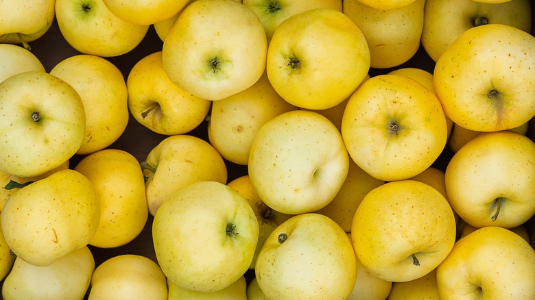 A batch of yellow bright apples 
