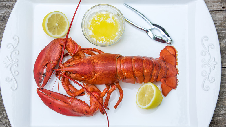 Lobster lemon platter