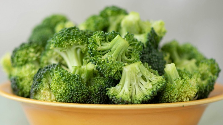 A Bowl of Fresh Broccoli