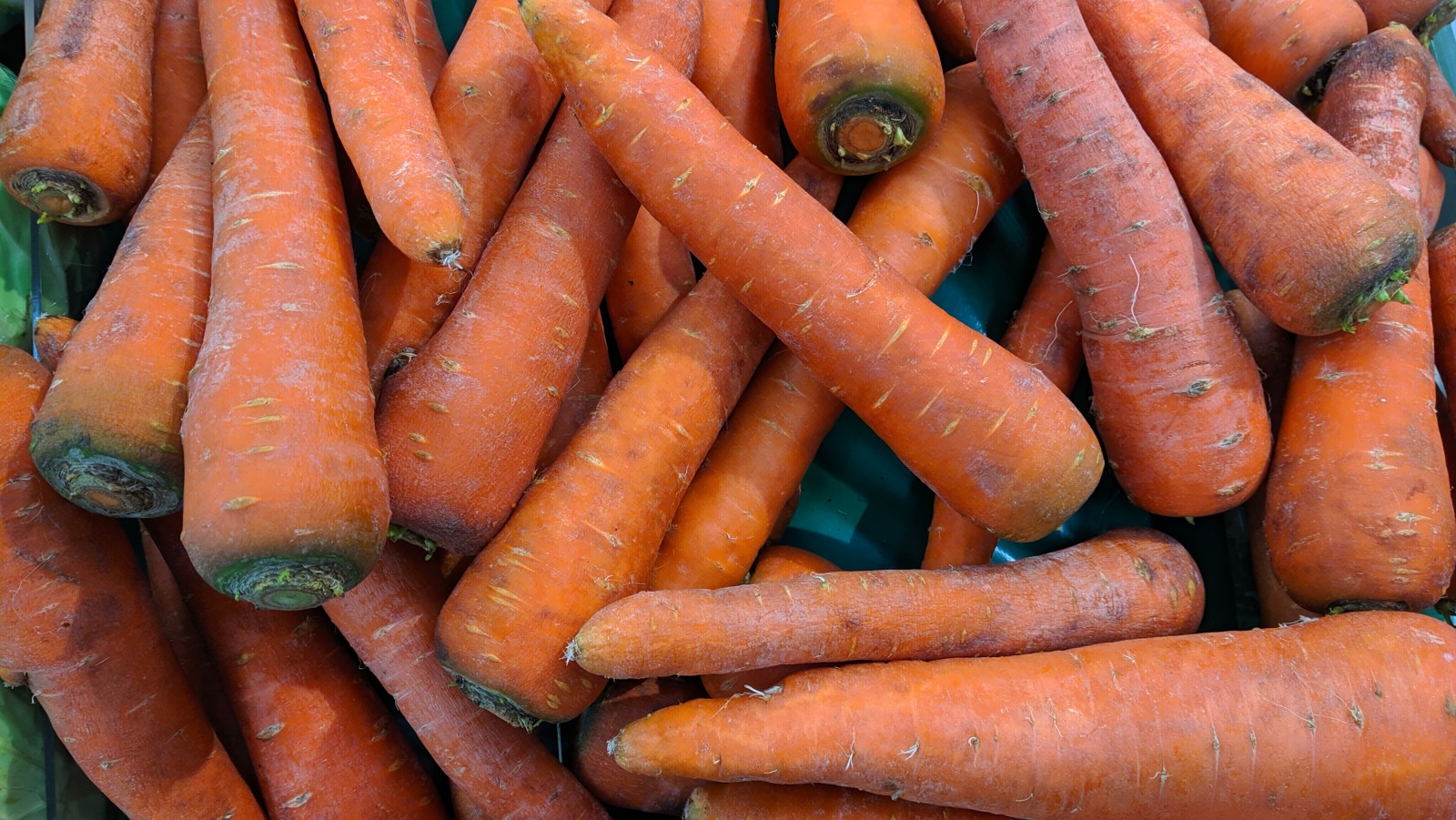 What It Means When Baby Carrots Start Turning White