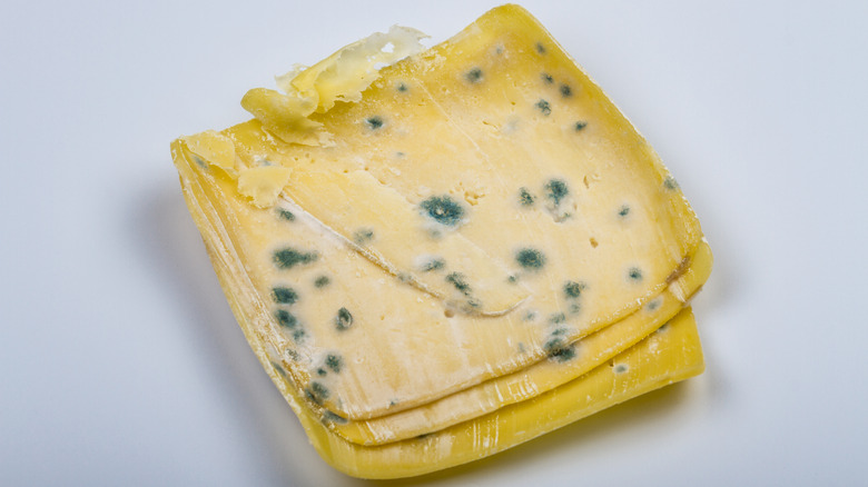 Spoiled moldy cheese to avoid