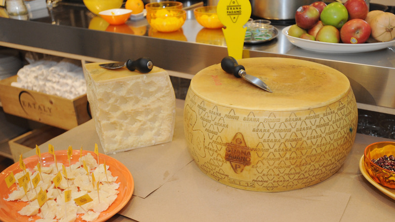 Et stort hjul med Grana Padano ost