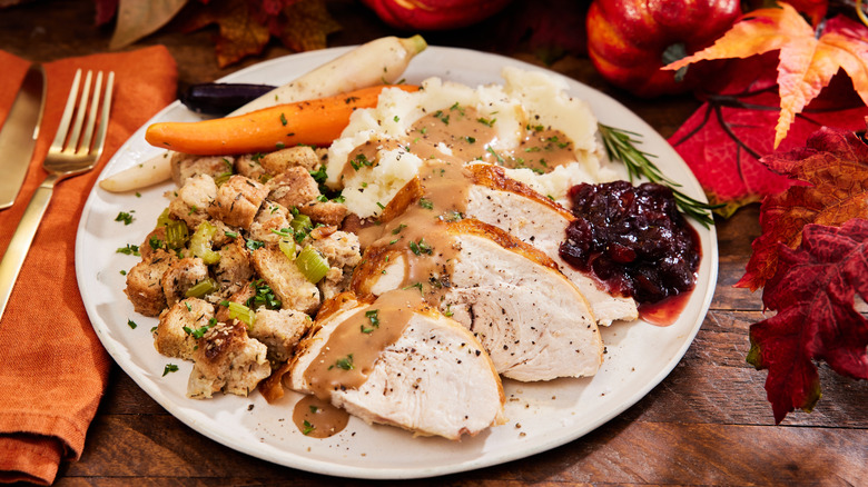 Traditional Thanksgivng dinner plate