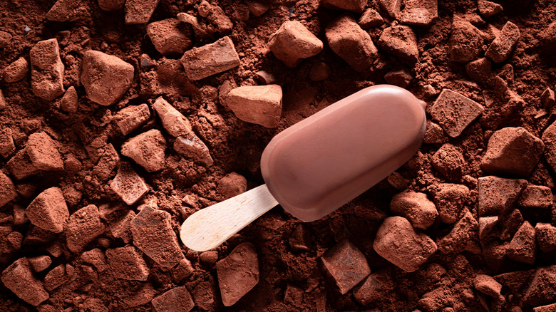 Chocolate-covered ice cream bar on background of chocolate