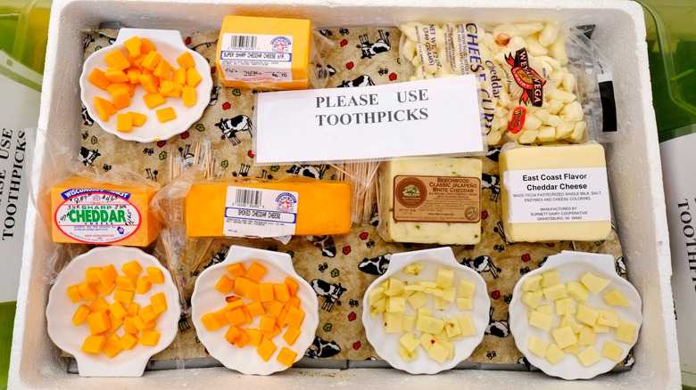 A selection of Wisconsin cheeses arranged in a Styrofoam cooler