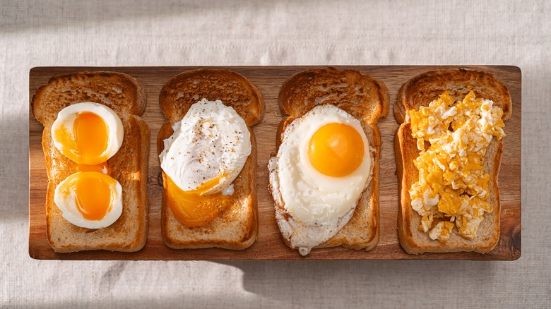 fried, scrambled, boiled eggs on toast