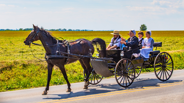 Horse and Buggy