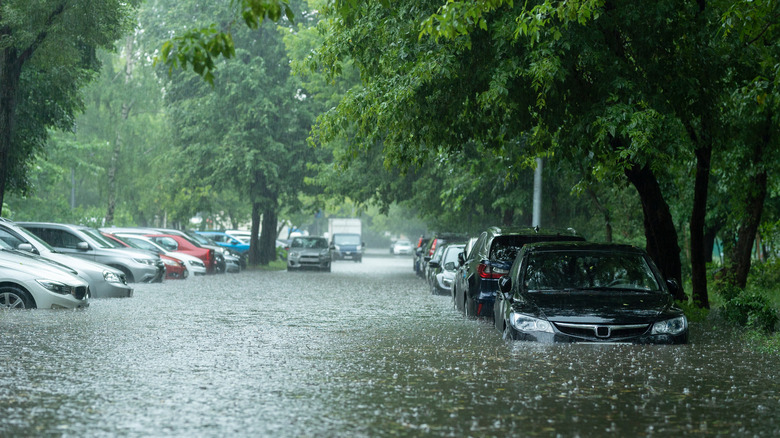 Cars parked in flood waters