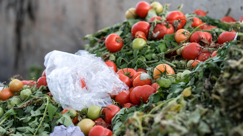 Fresh produce on top of a landfill