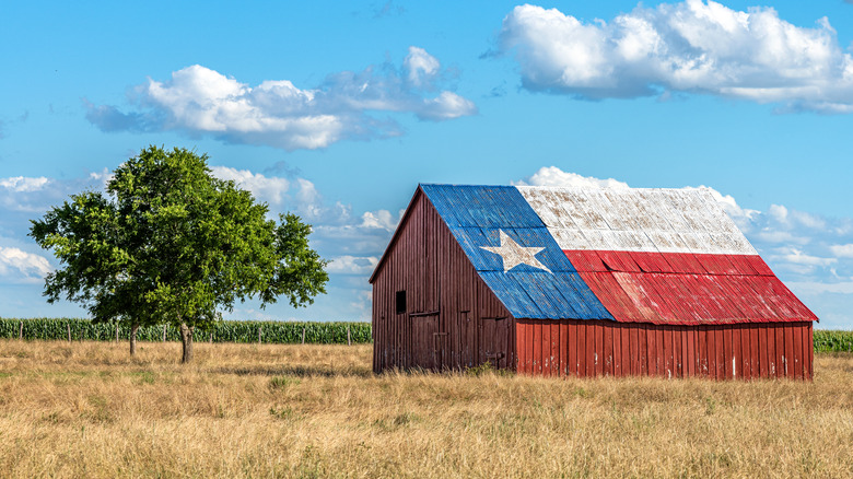 Farmhouse in Texas with flag