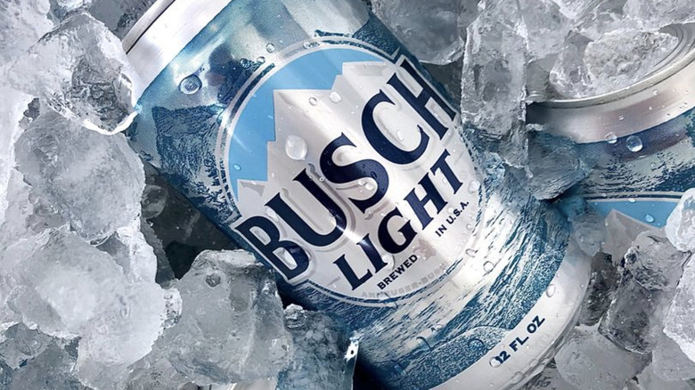 Busch beer can in ice