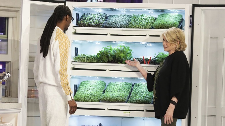 Martha Stewart showing Snoop Dog various green herbs on set of Potluck Dinner Party