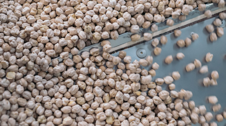 chickpeas on sorting machine