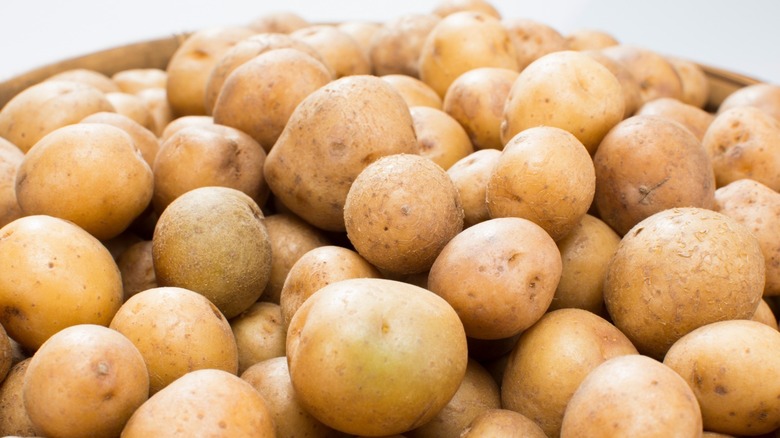 Pile of harvested medium yellow potatoes 