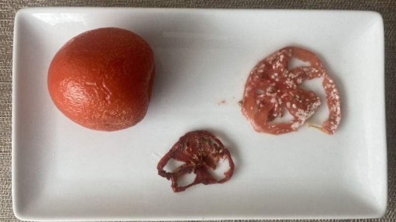 Tomato rotting on plate