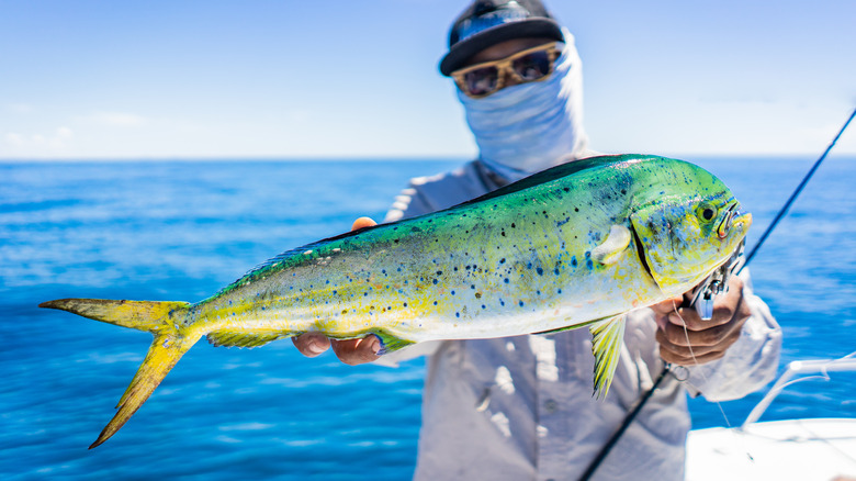 A man holding mahi mahi 