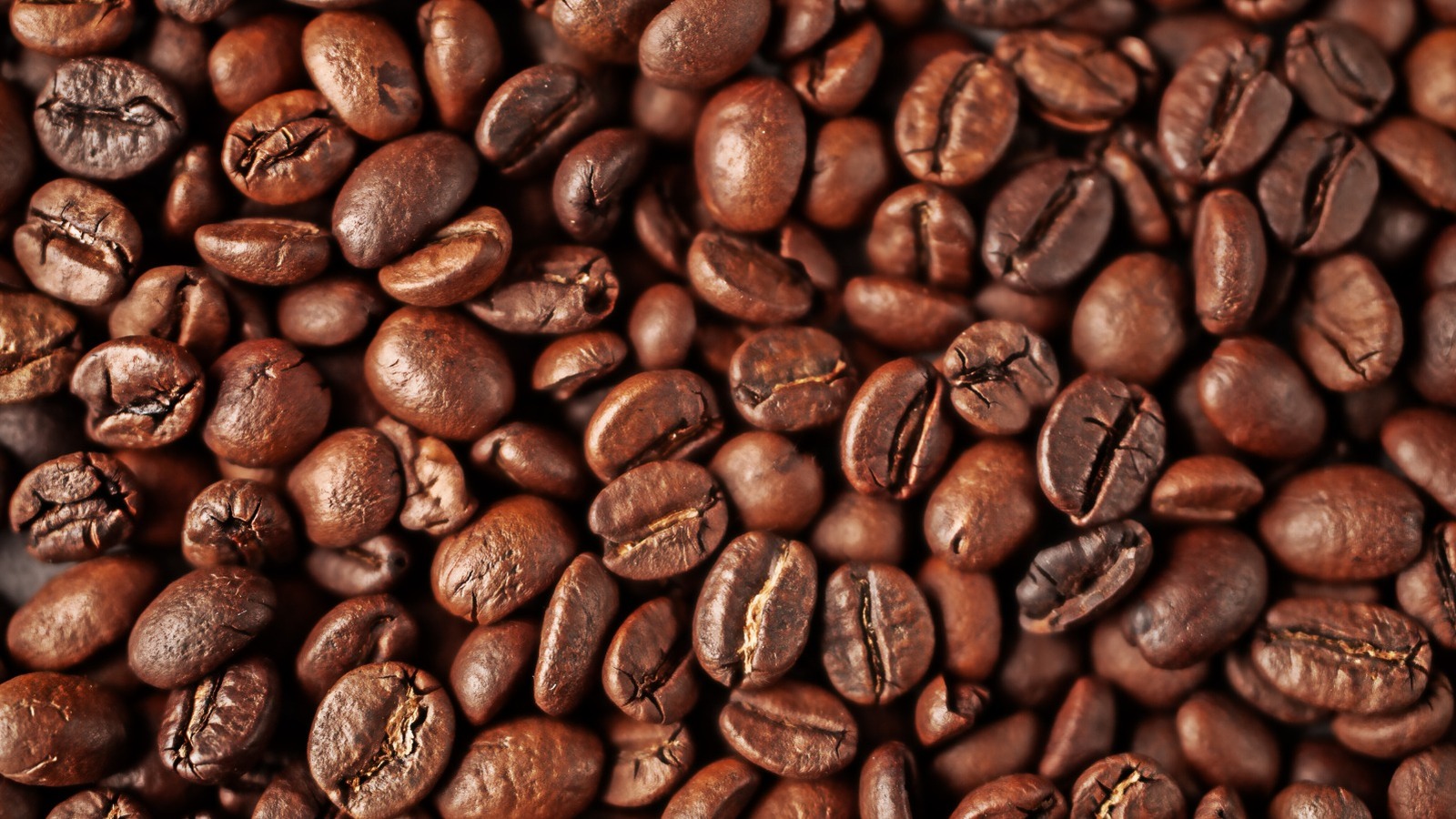 What To Look Out For When Buying Coffee Beans In Bulk