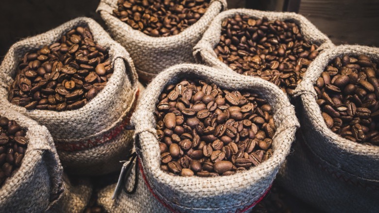 Freshly-roasted coffee beans in burlap bags