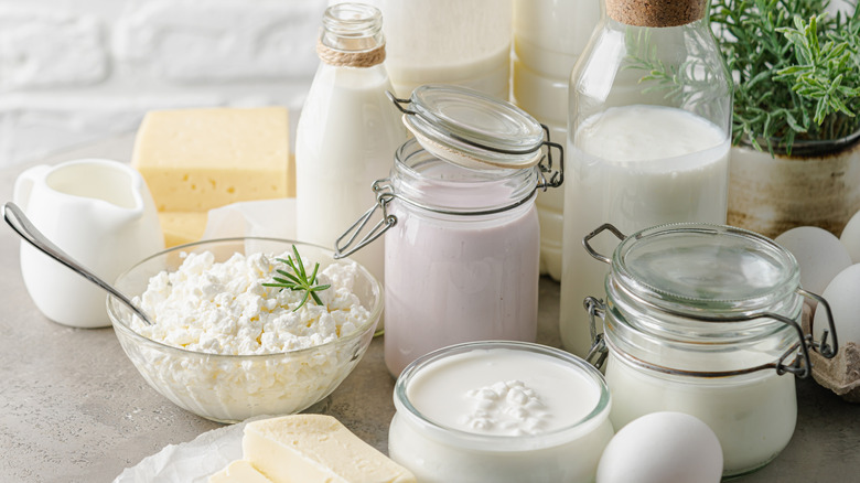 Various types of dairy and cream products