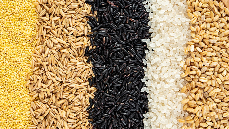 Variety of grains including black rice