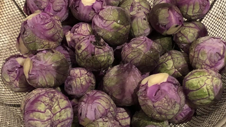 Purple Brussels sprouts