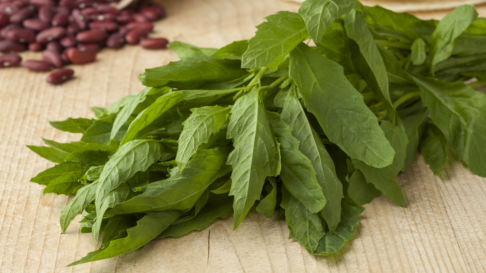 What You Didn't Know About Epazote