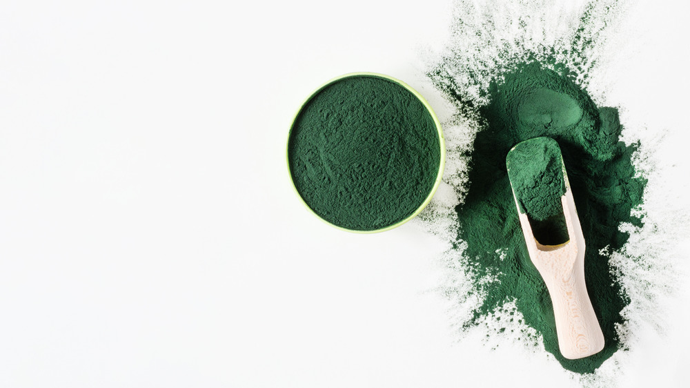 Spirulina powder in a wooden scoop